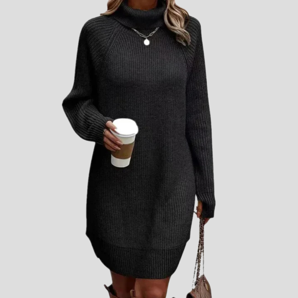 Turtleneck Sweater Dress Women's Ribbed Knit Long Sleeve – Casual, Office, Holiday, Gift