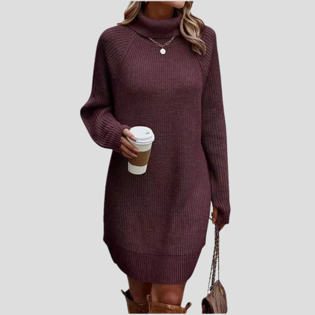 Turtleneck Sweater Dress Women's Ribbed Knit Long Sleeve – Casual, Office, Holiday, Gift